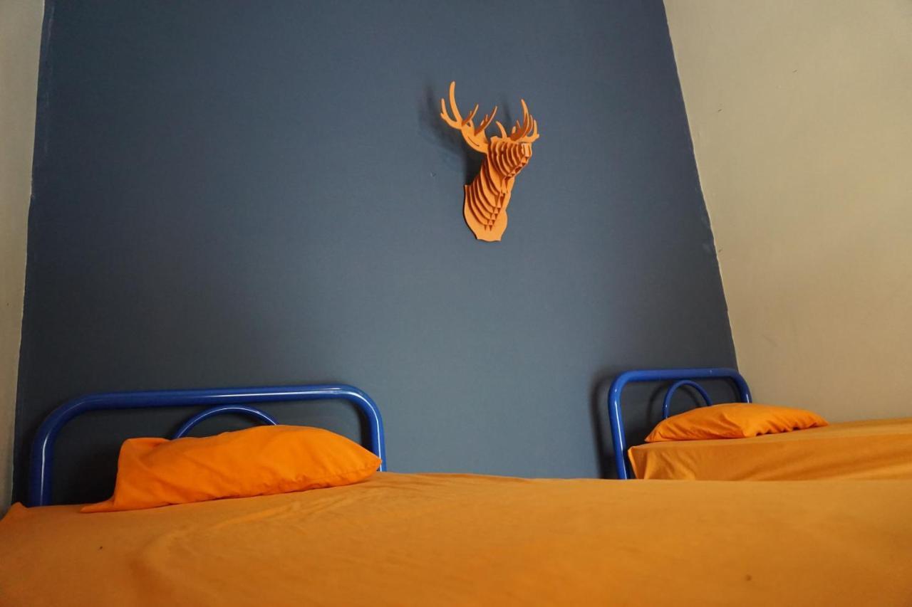 Hostal Blue Pepper Chapultepec Guadalajara