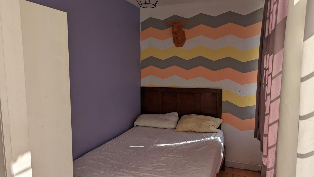 Hostal Blue Pepper Chapultepec Guadalajara