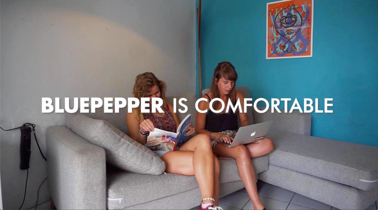 Hostal Blue Pepper Chapultepec